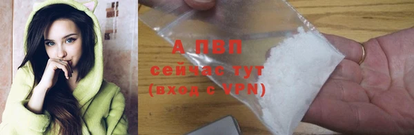 гидропоника Новозыбков