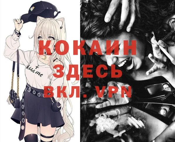 круглые Новодвинск