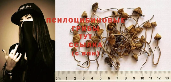 MESCALINE Нея