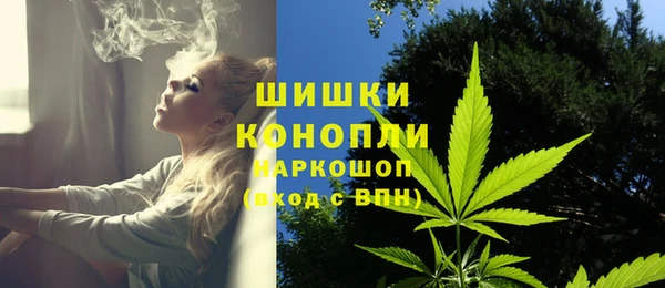 гидропоника Новозыбков